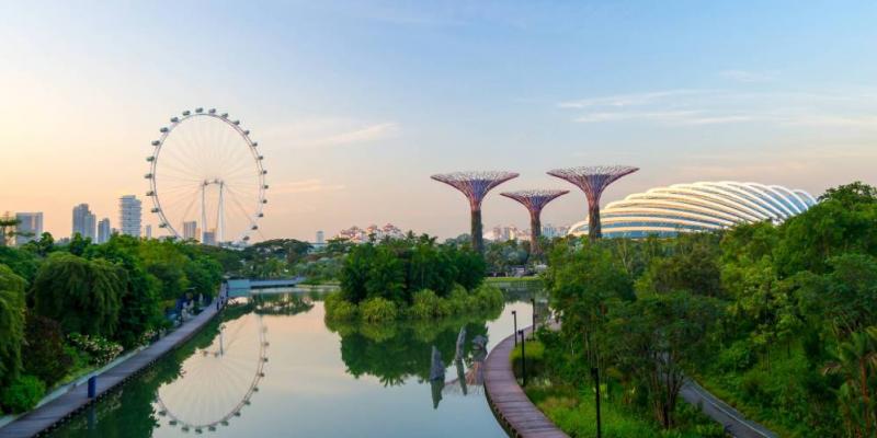 La bahía de Singapur se ha convertido en un centro de innovación que integra tecnología con naturaleza. A la derecha, los Super Trees, unos jardines verticales —algunos equipados con sistemas fotovoltaicos— diseñados por el estudio de arquitectura y paisajismo Grant Associates. Forman parte del proyecto Jardines junto a la bahía, de la red de parques nacionales de Singapur, con el que se pretende cultivar 226.000 plantas de todos los ecosistemas. | GETTY