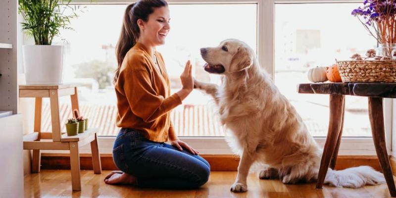 Aprende a afrontar la pérdida de tu mascota