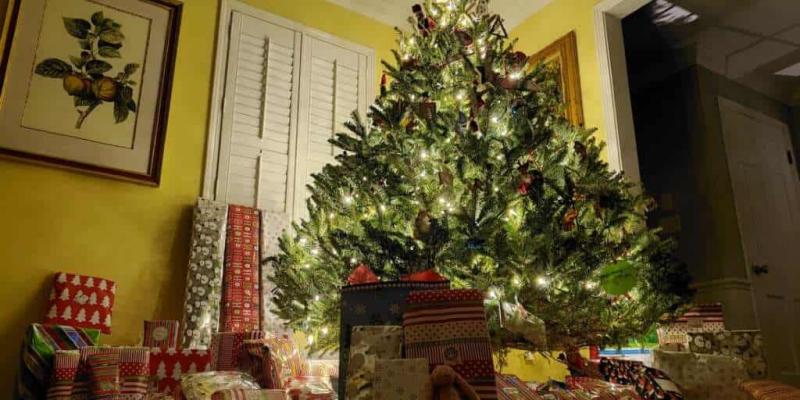 Imagen de un árbol de Navidad/Economía Digital Los españoles adelantan sus compras navideñas