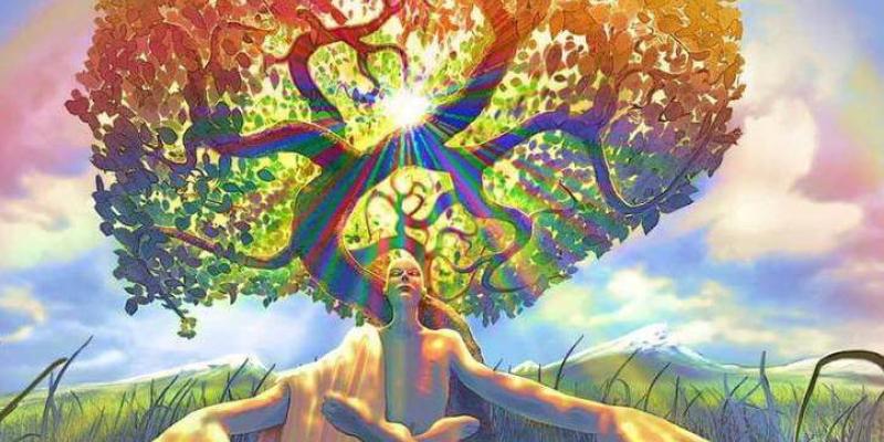 Imagen de un árbol que muestra paz/La Mente es Maravillosa Día Mundial de la Conciencia