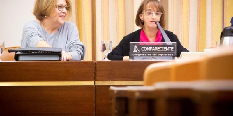La periodista sorda Vicky Bendito, al comparecer en la Cámara Baja | Foto del Congreso de los Diputados La periodista sorda Vicky Bendito, al comparecer en la Cámara Baja