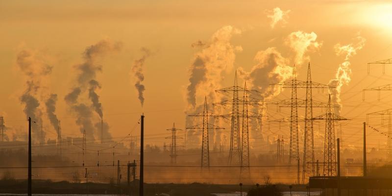 contaminación muerte tabaco