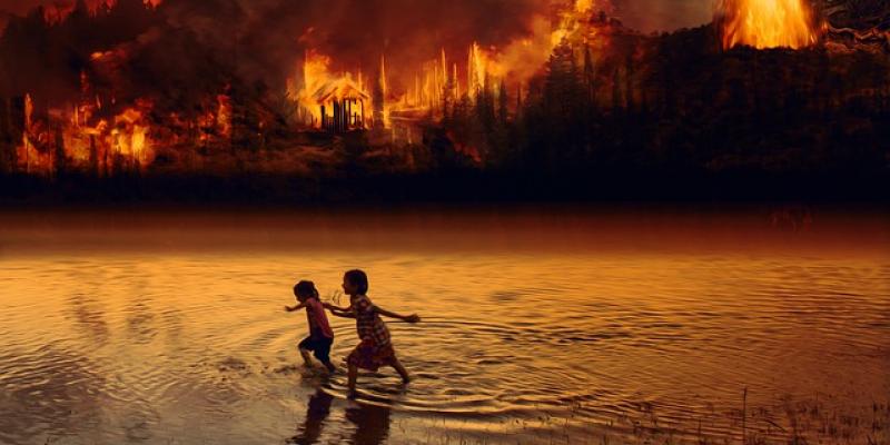 Incendio forestal en el Amazonas
