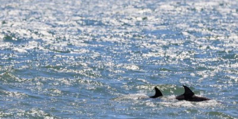 Qué nos dice la corriente oceánica Corriente oceánica global