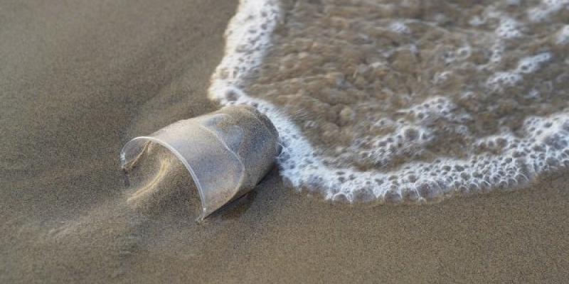 Las corrientes marinas contaminan las costas de Canarias Las corrientes marinas dejan basura por todos lados