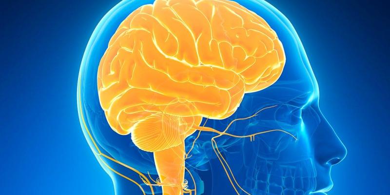 Síntomas neurológicos: ¿Cómo afecta la Covid-19 al cerebro? Los pacientes presentan frecuentemente síntomas neurológicos