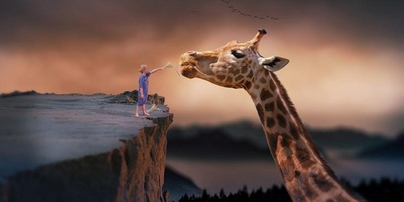 En nuestros sueños hay mucha creatividad - Pixabay La creatividad de nuestros sueños