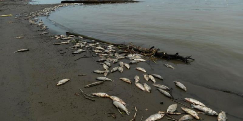 Agua en crisis por el cambio climático La crisis del agua amenaza la seguridad hídrica