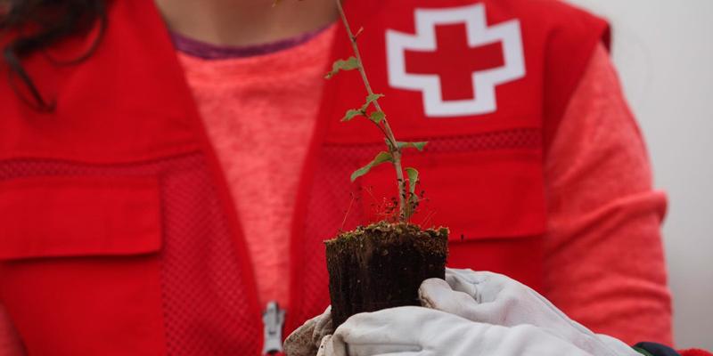 Cruz Roja establece medidas para compensar su huella de carbono
