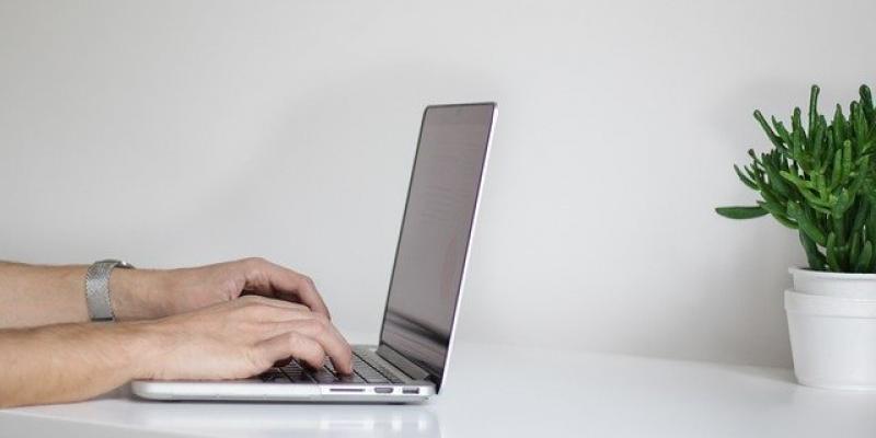 Consultar la cuantía a cobrar del paro Persona utilizando un ordenador / Pixabay