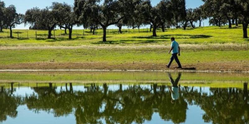 Cultivos agrícolas sostenibles Cultivos agrícolas