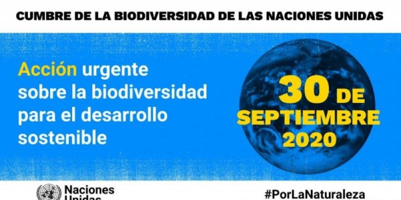30 de septiembre, Cumbre de la Biodiversidad de la ONU Hoy se celebra la Cumbre de la Biodiversidad de la ONU