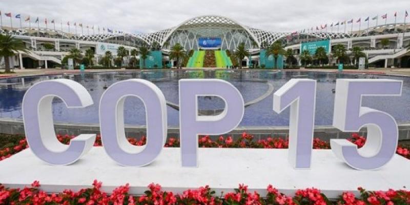 La protección de la biodiversidad Cartel de la COP15 para la protección de la biodiversidad