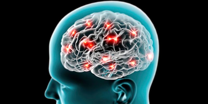 Pixabay Cerebro