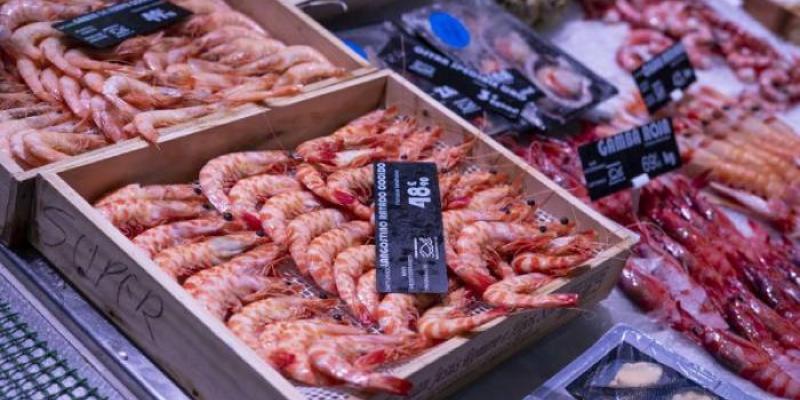 Varias bandejas de pescado y marisco que aportan yodo al organismo