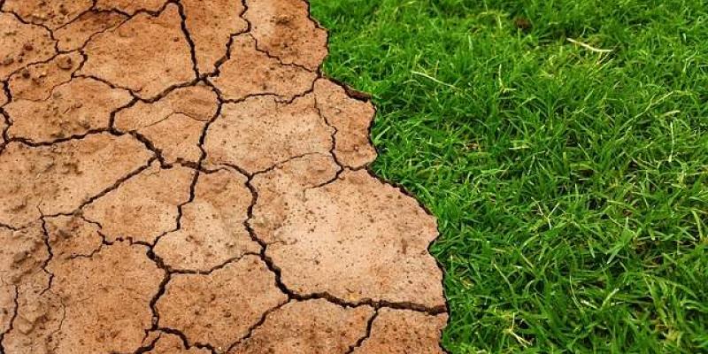 Pérdida de suelos verdes - Pixabay Un suelo seco y resquebrajado frente a la hierba verde