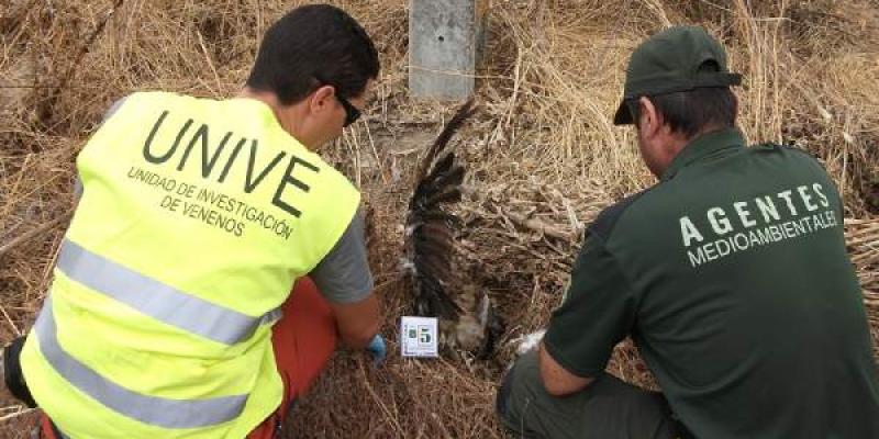 Delitos contra especies silvestres