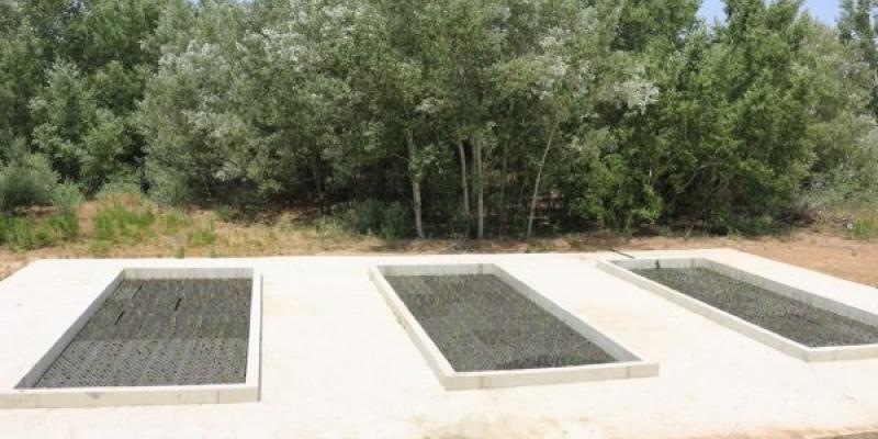 Depurar agua con plantas es un proyecto piloto. Foto: Proyecto depurar agua con plantas en Madrid