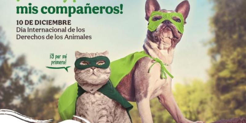 Ayuda a proteger los derechos de los animales/ Tiendanimal Derechos de los animales