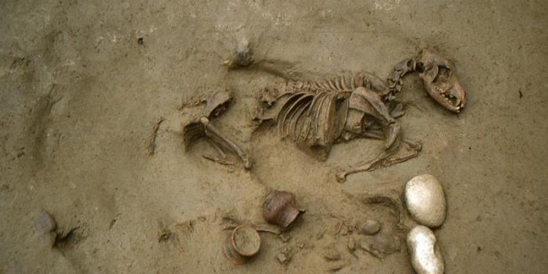 Nuevos descubrimientos arqueológicos prerromanos - SABAP-VR Los descubrimientos arqueológicos en Italia