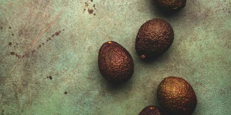 Aguacates - Foto: Envato Elements Aguacates
