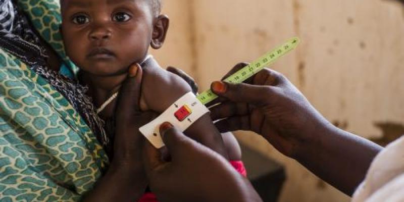 Desnutrición infantil: Uno de cada tres niños sigue sin recibir la alimentación adecuada.