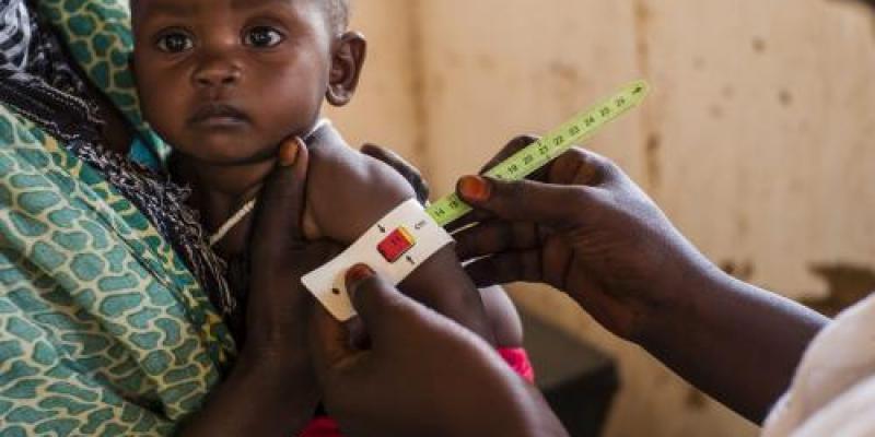 La desnutrición, el hambre oculta y el sobrepeso amenazan la supervivencia, el crecimiento y el desarrollo de los niños y los jóvenes. Desnutrición infantil: Uno de cada tres niños sigue sin recibir la alimentación adecuada.