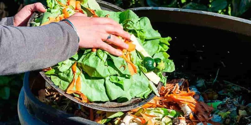 Consejos para el desperdicio alimentario