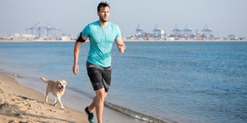 Viajar con tu perro - Foto: Envato Elements Viajar con tu perro