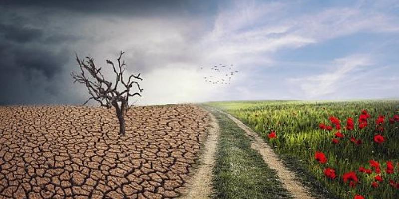 El cambio climático puede acabar afectando a los seres humanos Cambio climático/Pixabay