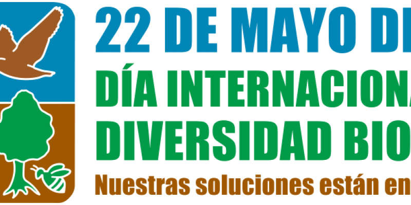 Cartel para celebrar el Día Internacional de la Diversidad Biológica Diversidad Biológica