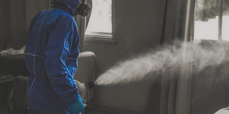 La aparición de la pandemia por Covid-19 cumple cerca de dos años Pandemia del Covid-19/Pixabay