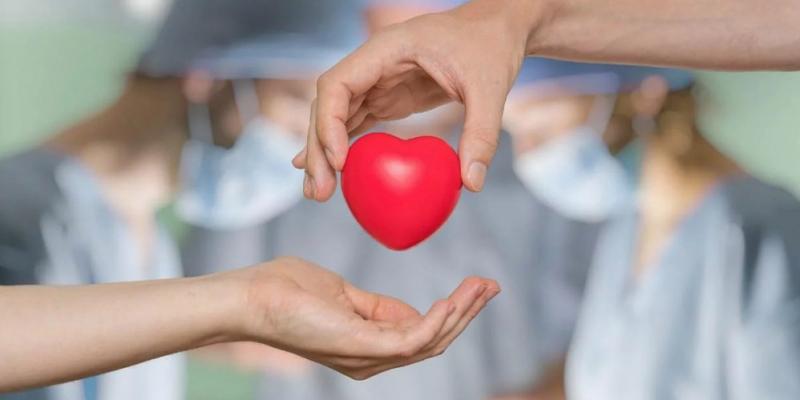 Trasplante de órganos Día Internacional Mano con un corazón / Pixabay