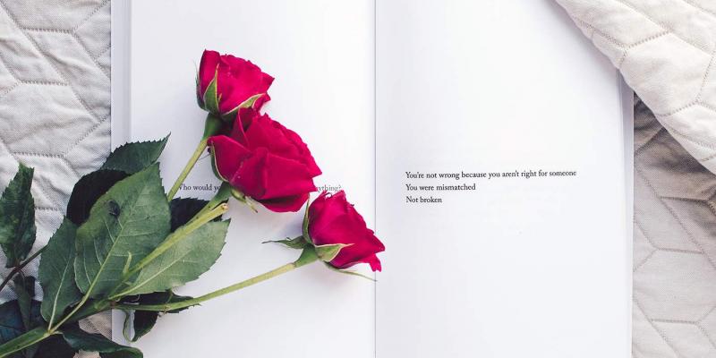 Feliz Día del Libro 2020 Día del Libro / Sant Jordi