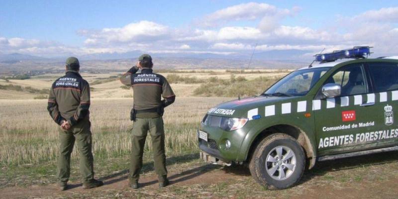 Una pareja de agentes forestales de Madrid.