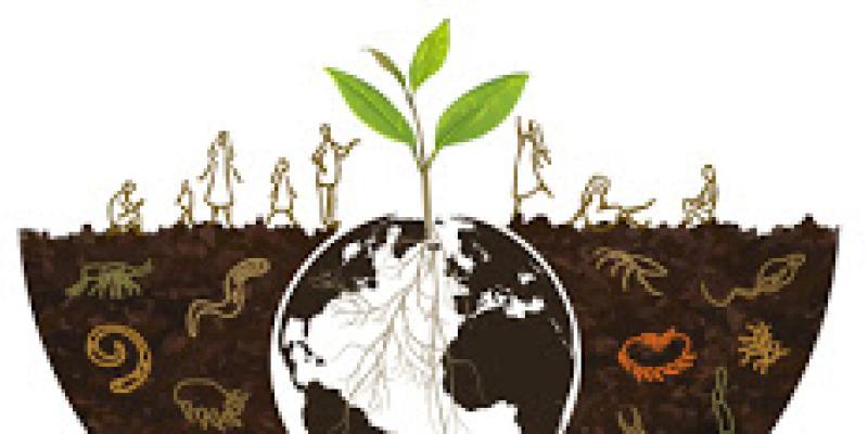 El Día Mundial del Suelo/ FAO Día Mundial del Suelo, cartel FAO