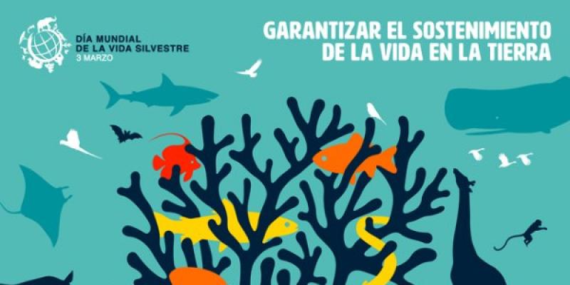 La importancia de la vida silvestre Cartel Día Mundial de la Vida Silvestre