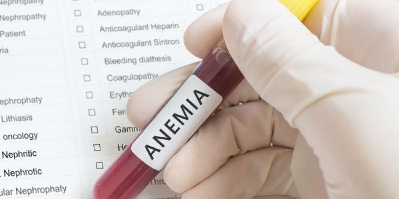 Anemia por dietas veganas y vegetarianas