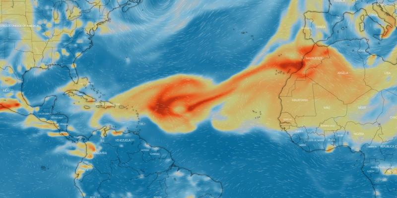 Imagen: Windy.com Estado de la columna de SO2 según el pronóstico para el viernes 8 de octubre.