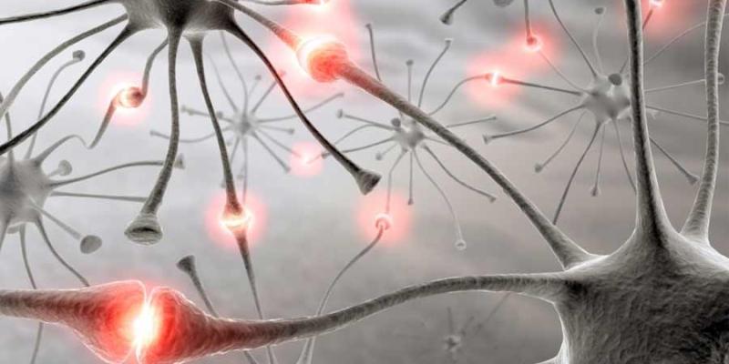 Todo sobre el dolor neuropático. Dolor neuropático