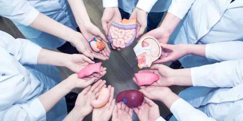 donación / Amhigos del Hígados La donación de órganos ha caído a mínimos históricos según la Organización Nacional de Trasplantes (ONT)