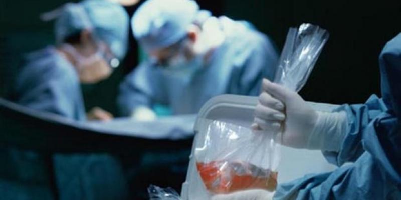 España sigue siendo líder mundial en donación de órganos