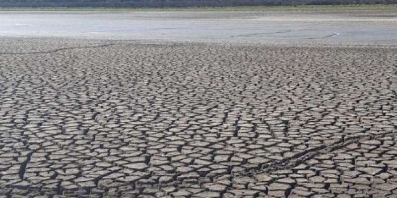 El colapso ecológico al que esta expuesto Doñana