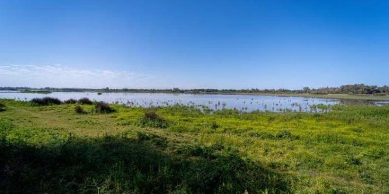 Regadío en Doñana Parque Nacional de Doñana