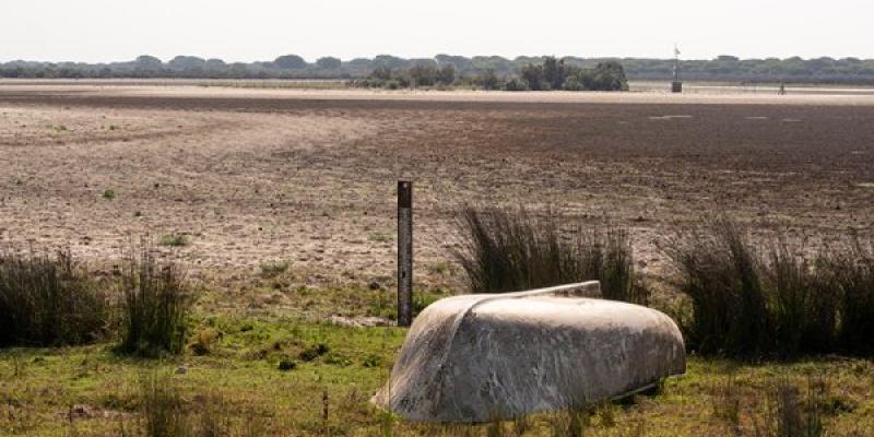 Parque Nacional de Doñana El deterioro de Doñana