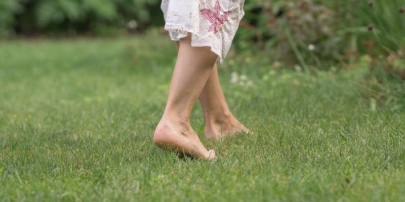 Earthing - Foto: Envato Elements Pies descalzos sobre la hierba
