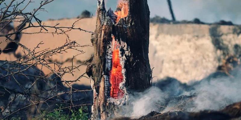 Imagen de los restos de un incendio forestal/Onda Cero Ecofire, la solución contra los incendios forestales