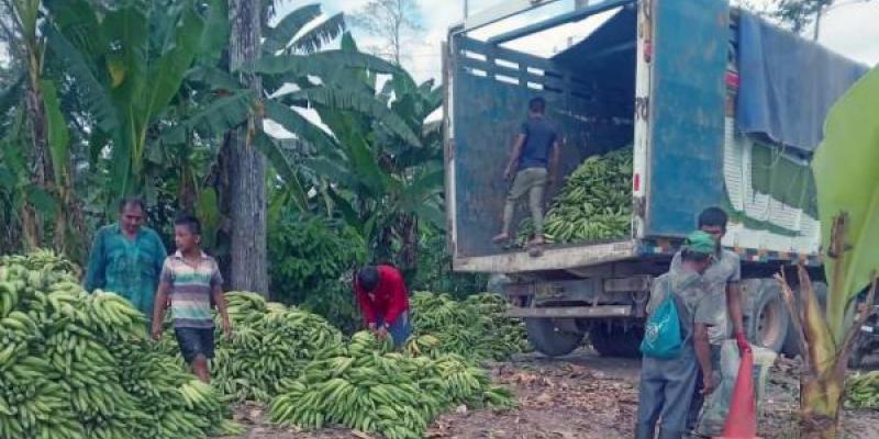 La economía circular con proyectos sostenibles en el Amazonas/ Fundación La Caixa Los jóvenes emprendedores que han llevado la economía circular al Amazonas