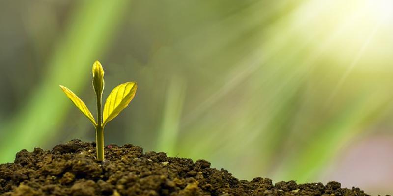 La economía verde en el mundo 