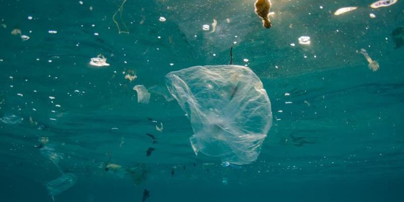Ecosistemas marinos en peligro ecosistemas marinos